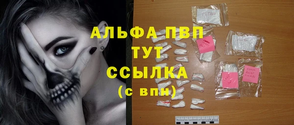 прущие грибы Аркадак