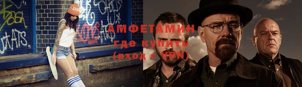 прущие грибы Аркадак