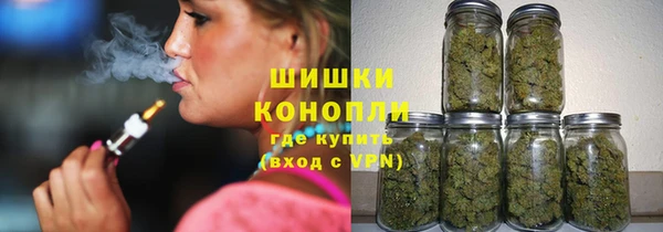 прущие грибы Аркадак