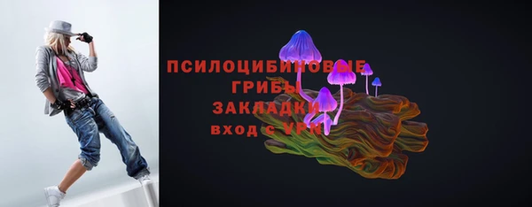 шишки Армянск
