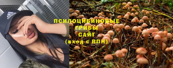 шишки Армянск