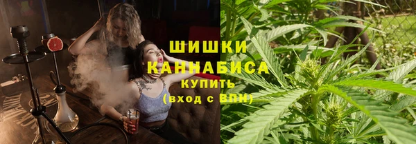 прущие грибы Аркадак
