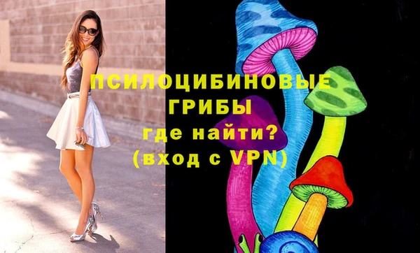 шишки Армянск