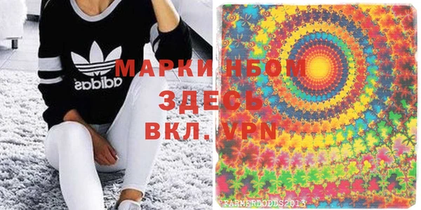 прущие грибы Аркадак