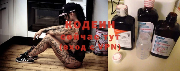 прущие грибы Аркадак