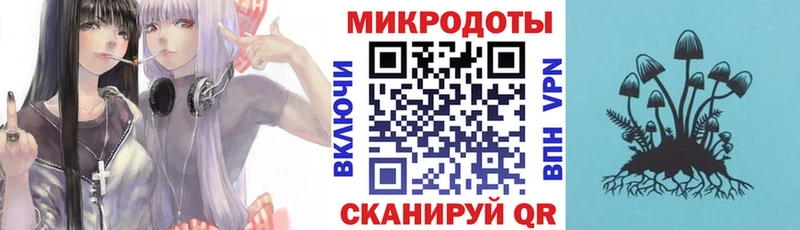 Галлюциногенные грибы Psilocybine cubensis  Волгоград 